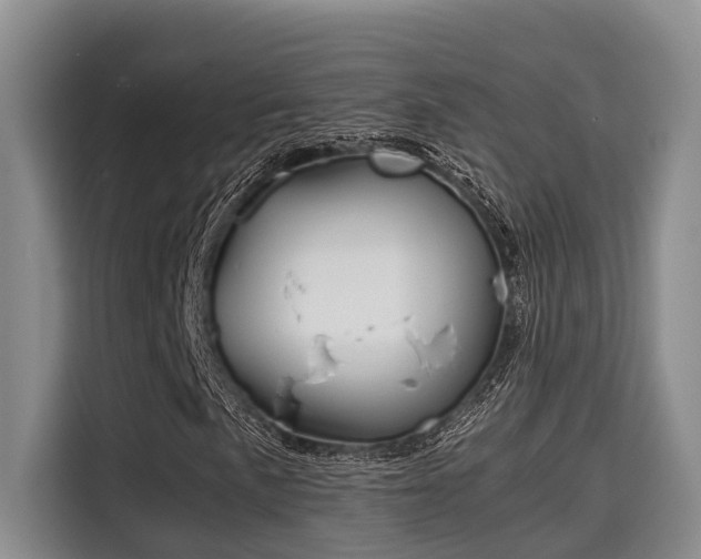 X0000115661057200911191001