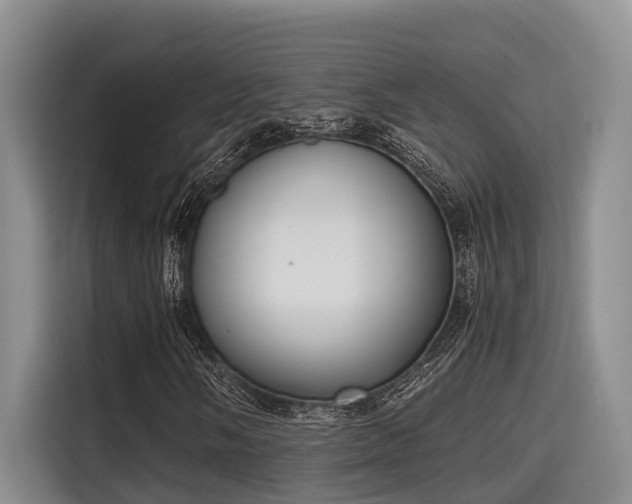 X0000115661058200911191001