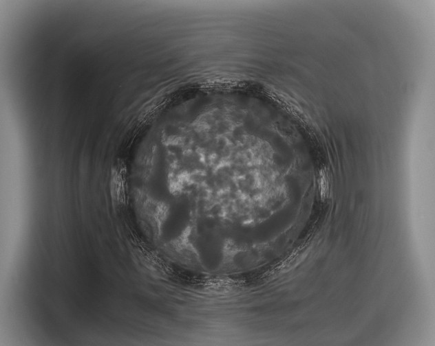X0000115661059200911191000