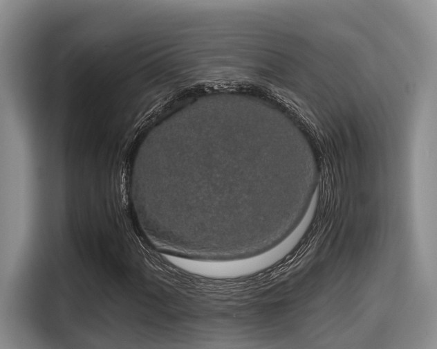 X0000115661060200911191000
