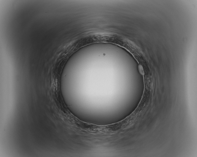 X0000115661061200911191000