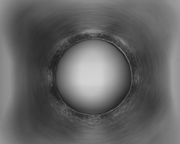 X0000115661062200911191000
