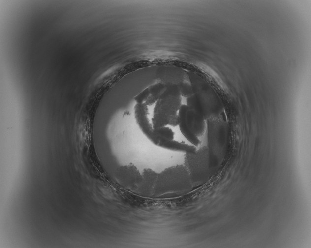 X0000115661063200911191000