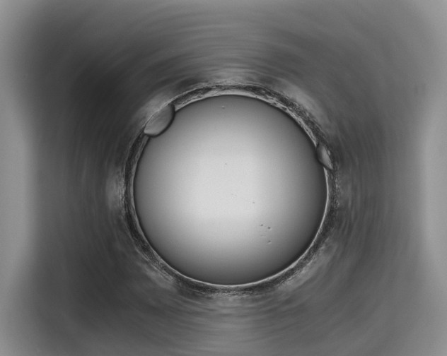 X0000115661065200911191000