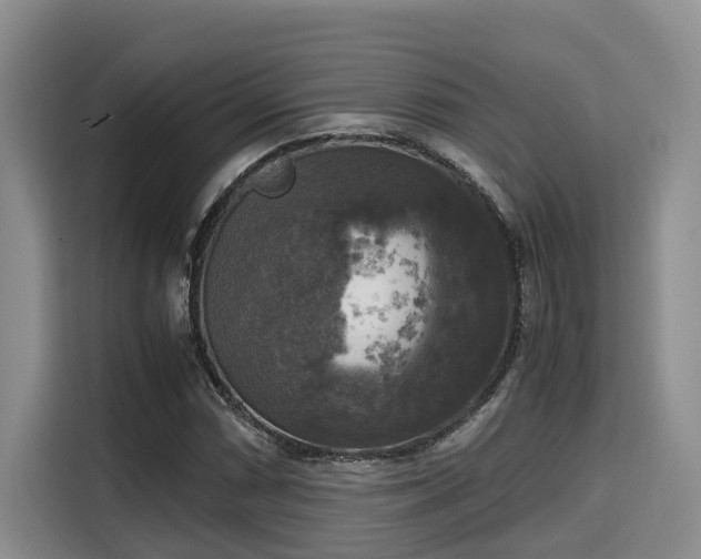 X0000115661066200911191000