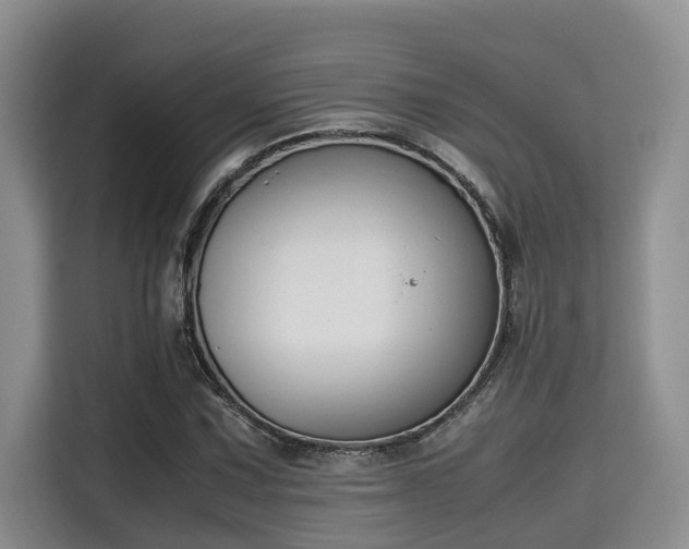 X0000115661067200911191000