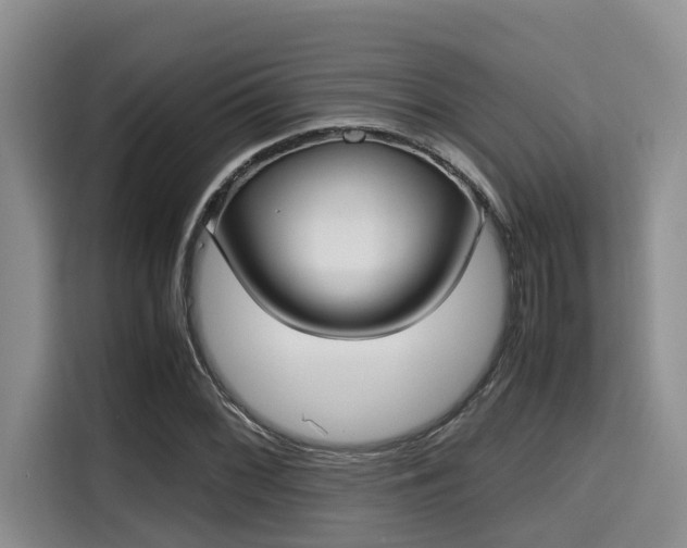 X0000115661068200911191000