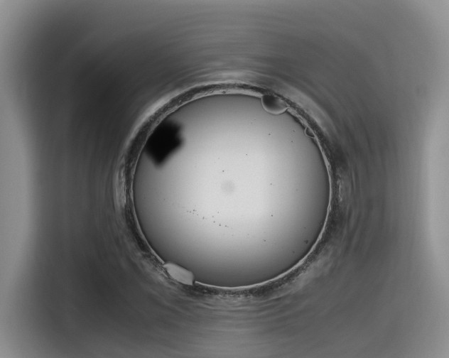 X0000115661069200911191000