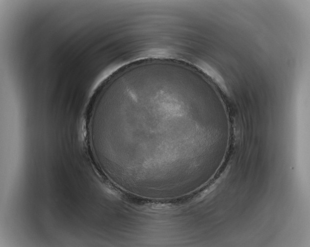 X0000115661070200911191000