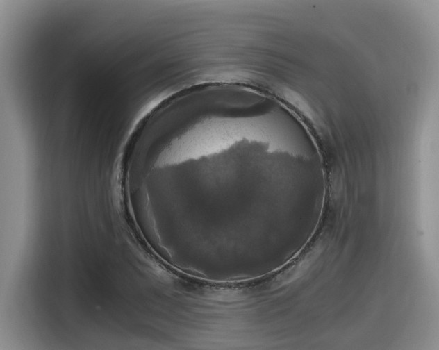 X0000115661071200911191000