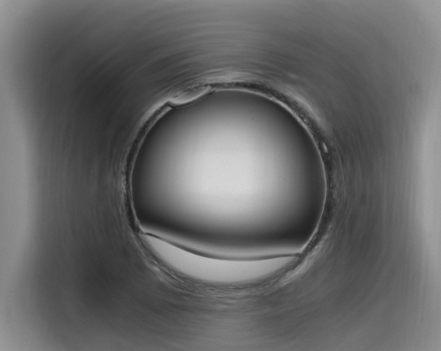X0000115661073200911191000