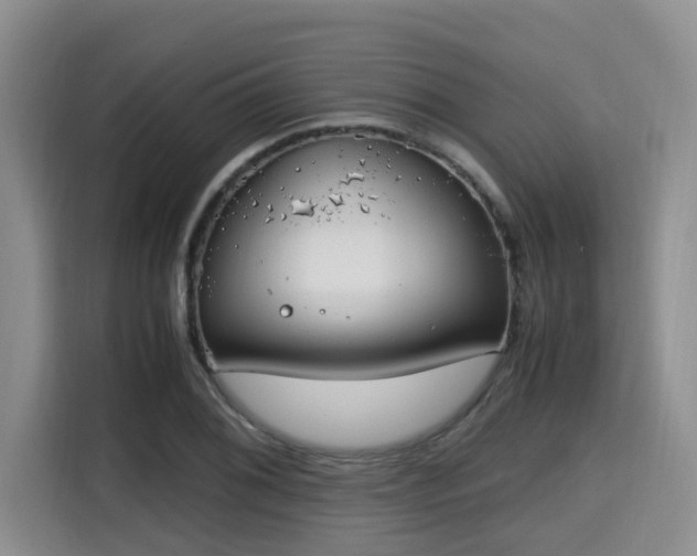 X0000115661076200911191000
