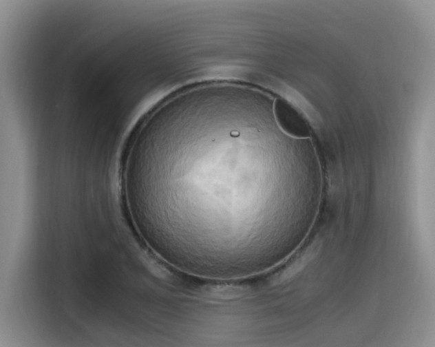 X0000115661077200911191000