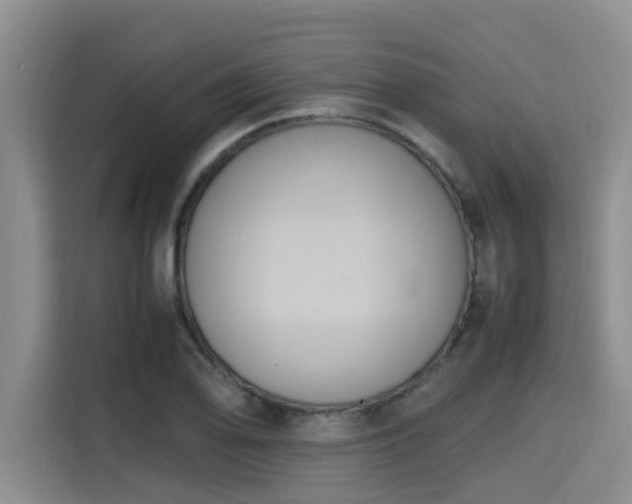 X0000115661078200911191000