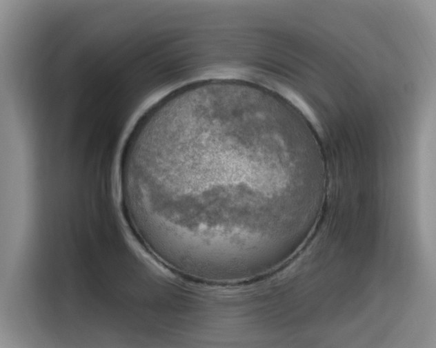 X0000115661080200911191000