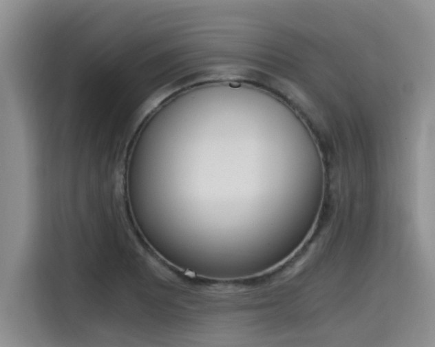 X0000115661081200911191000