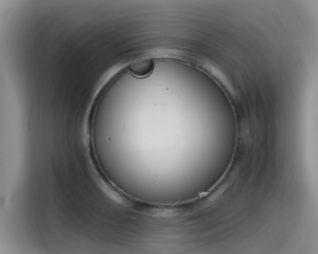 X0000115661082200911191000