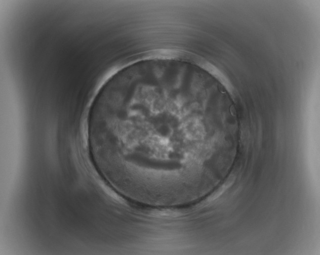 X0000115661083200911191000