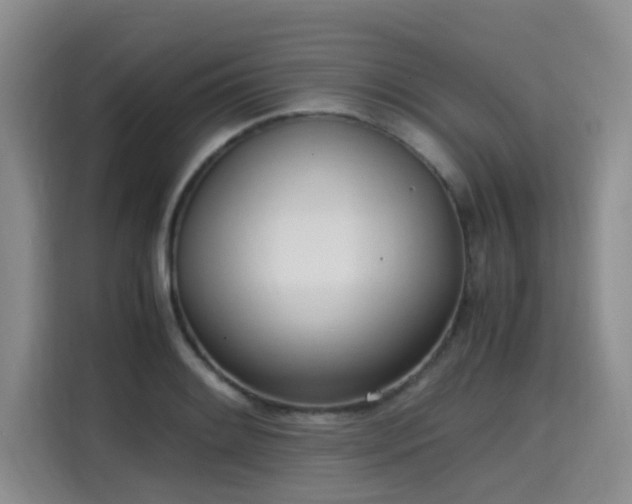 X0000115661084200911191000