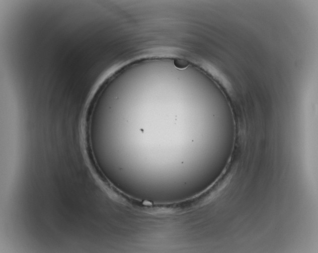 X0000115661085200911191000
