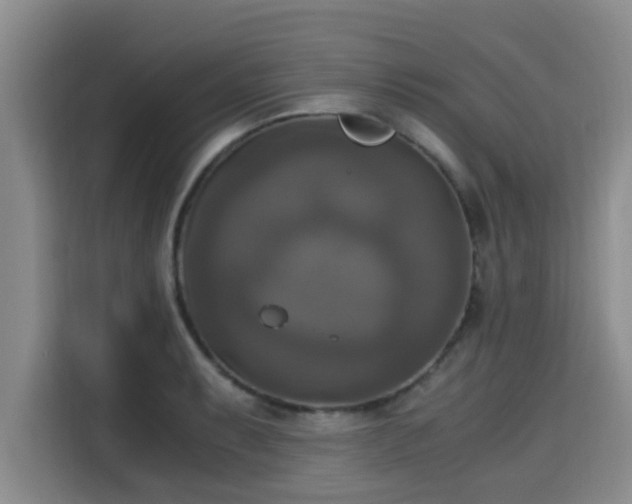 X0000115661087200911191000
