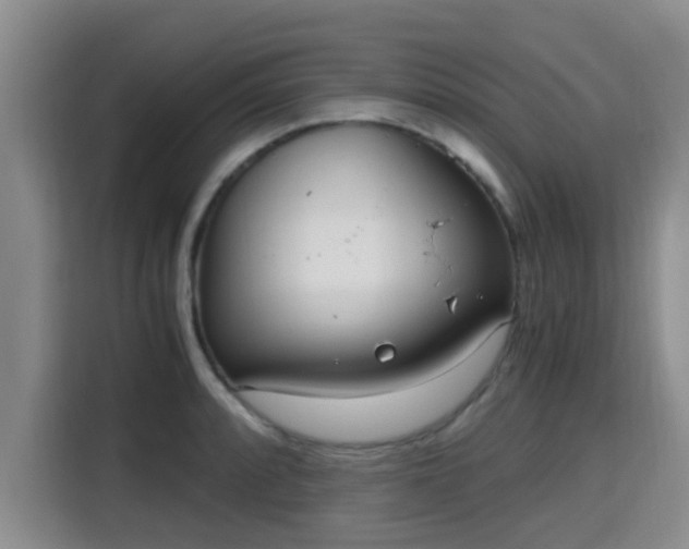 X0000115661088200911191000