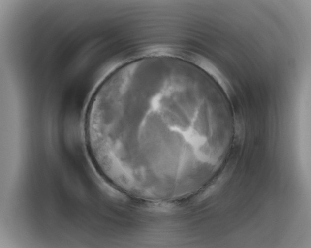 X0000115661090200911191000