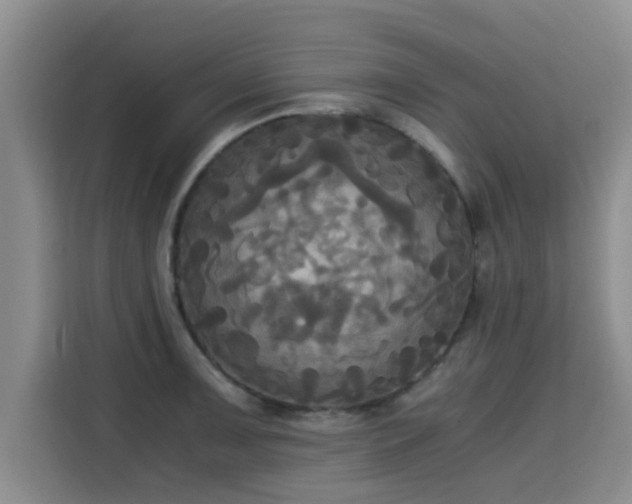 X0000115661091200911191000