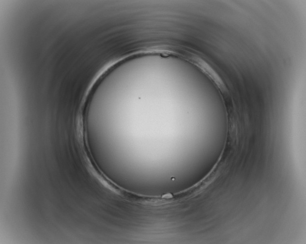 X0000115661092200911191000