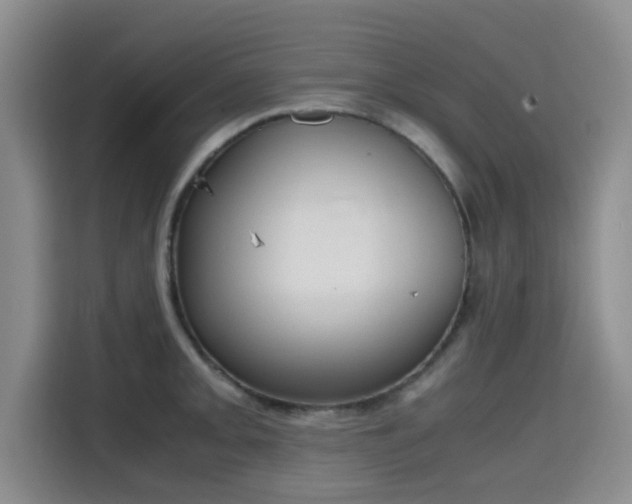 X0000115661093200911191000