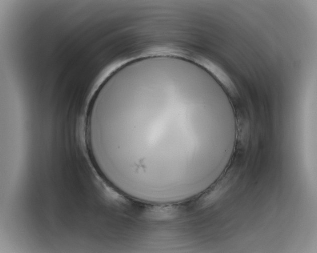 X0000115661094200911191000