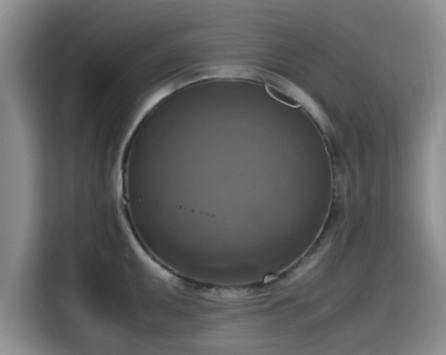 X0000115661095200911191000