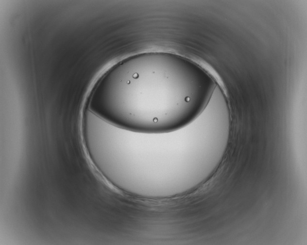 X0000115661096200911191000