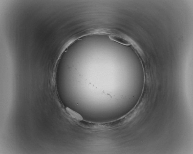 X0000115661097200911191000