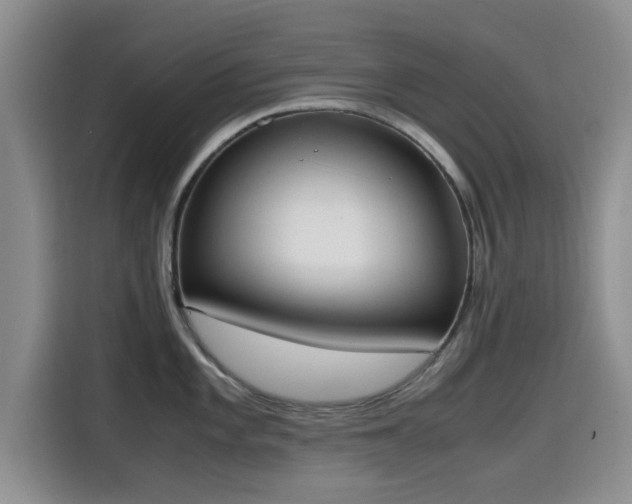 X0000115661101200911191000