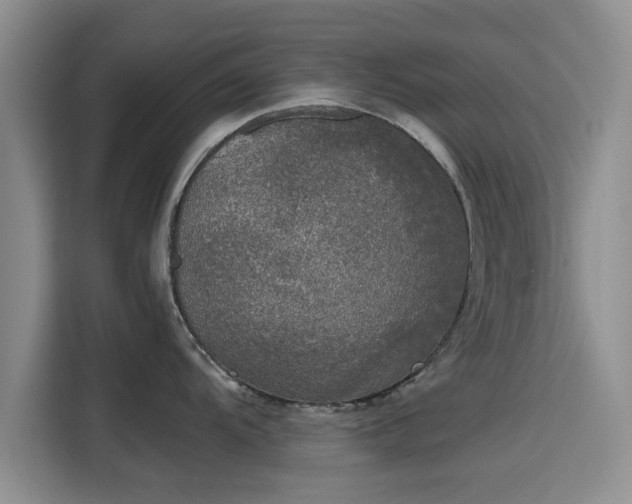 X0000115661104200911191000