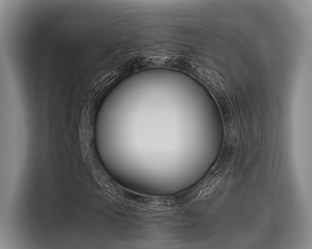 X0000115661105200911190959