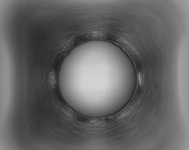 X0000115661107200911190959