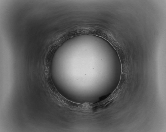 X0000115661109200911190959