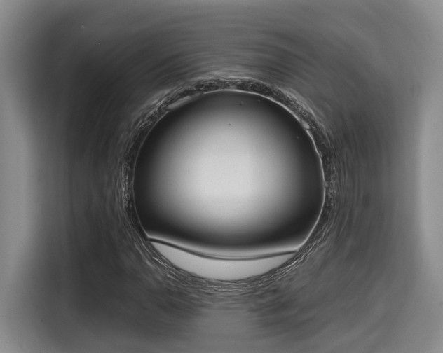 X0000115661110200911190959