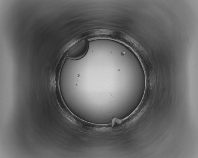 X0000115661113200911190959
