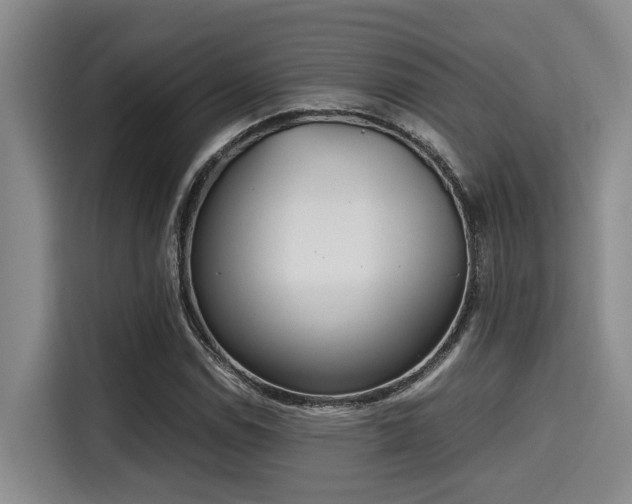 X0000115661114200911190959