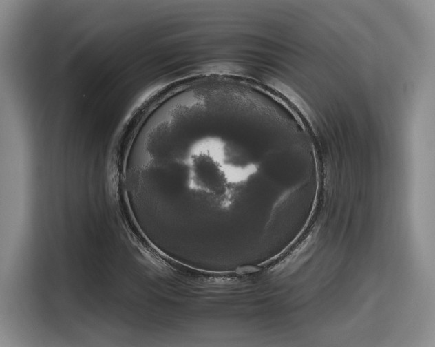 X0000115661115200911190959