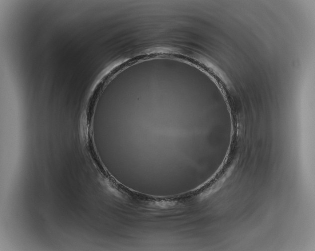 X0000115661117200911190959
