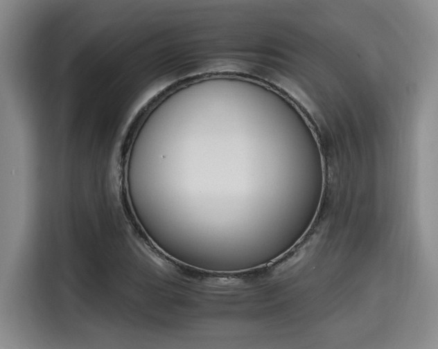 X0000115661119200911190959