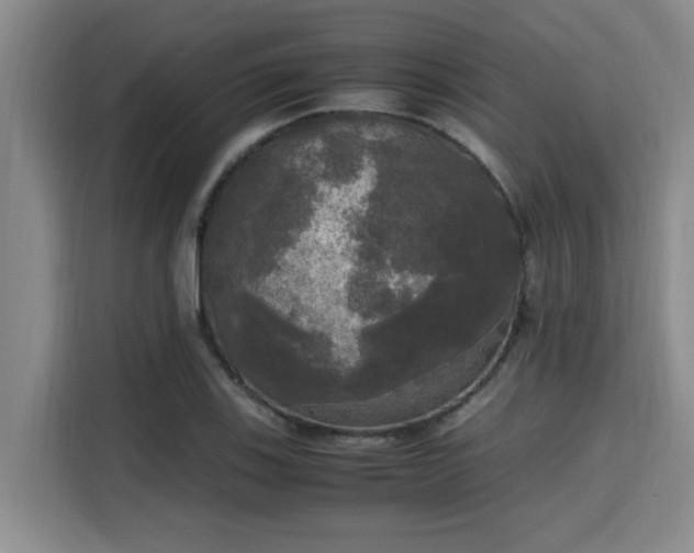 X0000115661123200911190959
