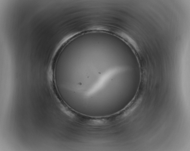 X0000115661125200911190959