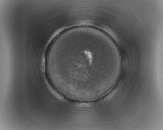 X0000115661126200911190959