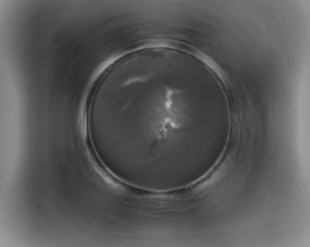 X0000115661127200911190959
