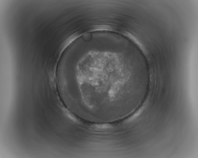 X0000115661129200911190959